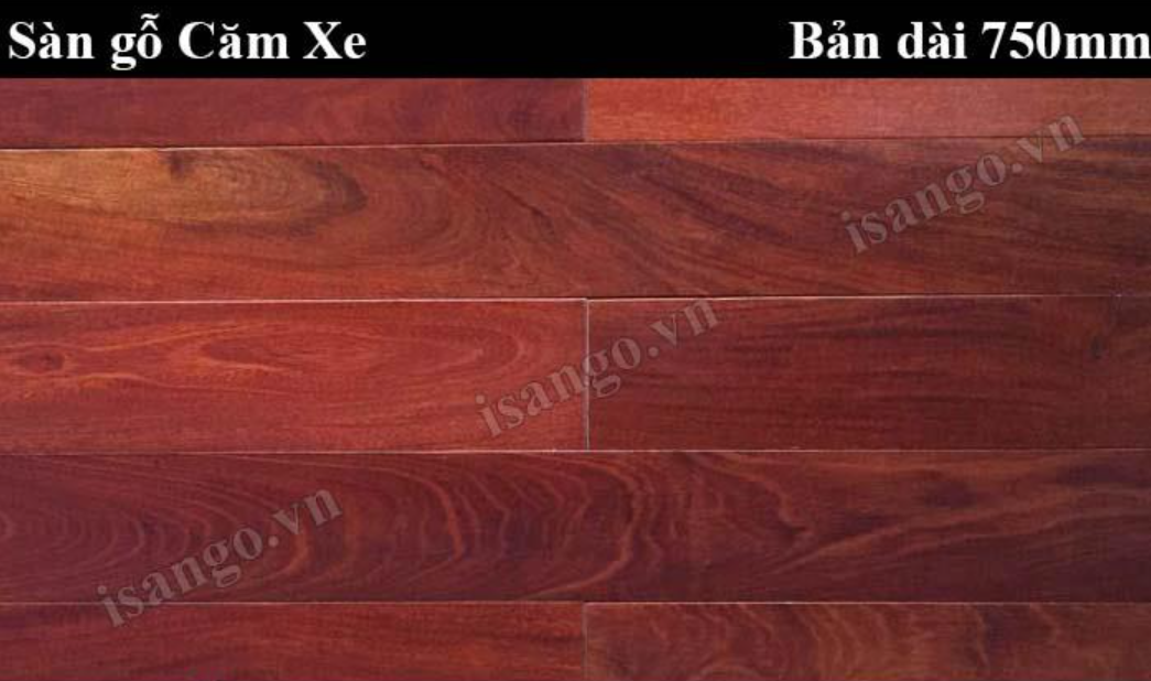 Sàn gỗ căm xe CX750