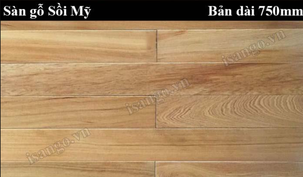 Sàn gỗ Sồi Mỹ SM750